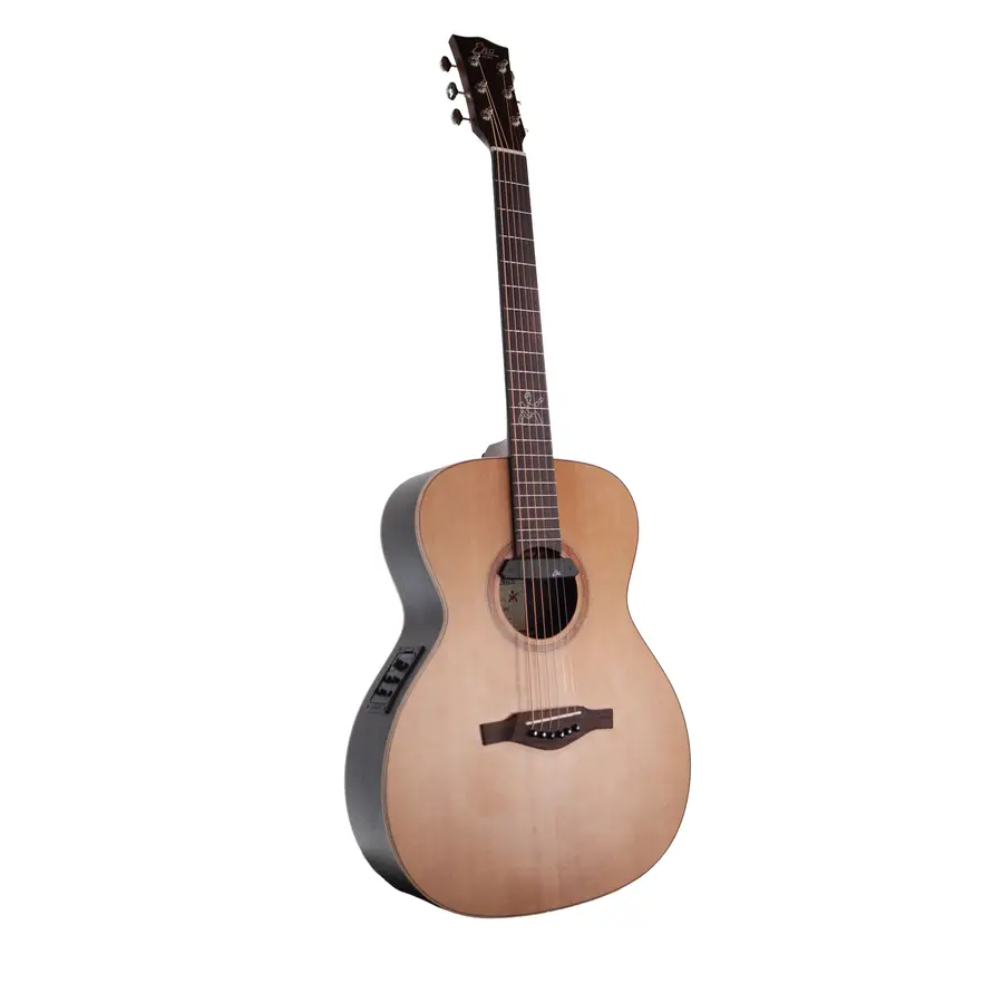 eko-guitars-massimo-varini-signature-06217346-0