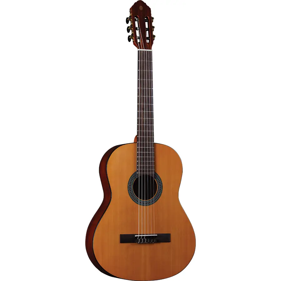 eko-guitars-vibra-100-satin-06130123-0