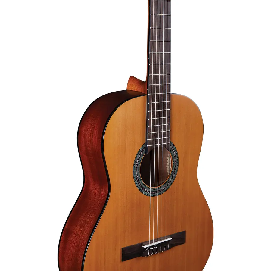 eko-guitars-vibra-100-satin-06130123-3