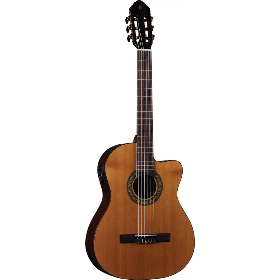 eko-guitars-vibra-200-eq-06130132-0