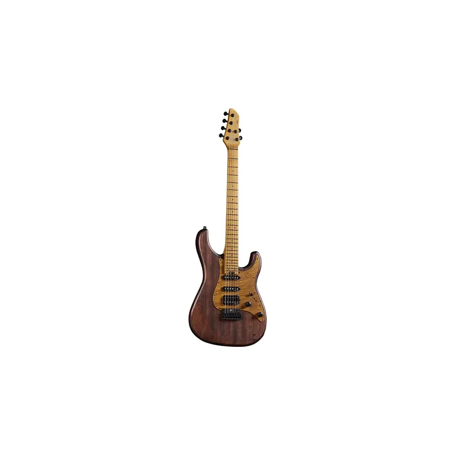 f_16-eko-guitars-aire-701-wildwood-05134065_0