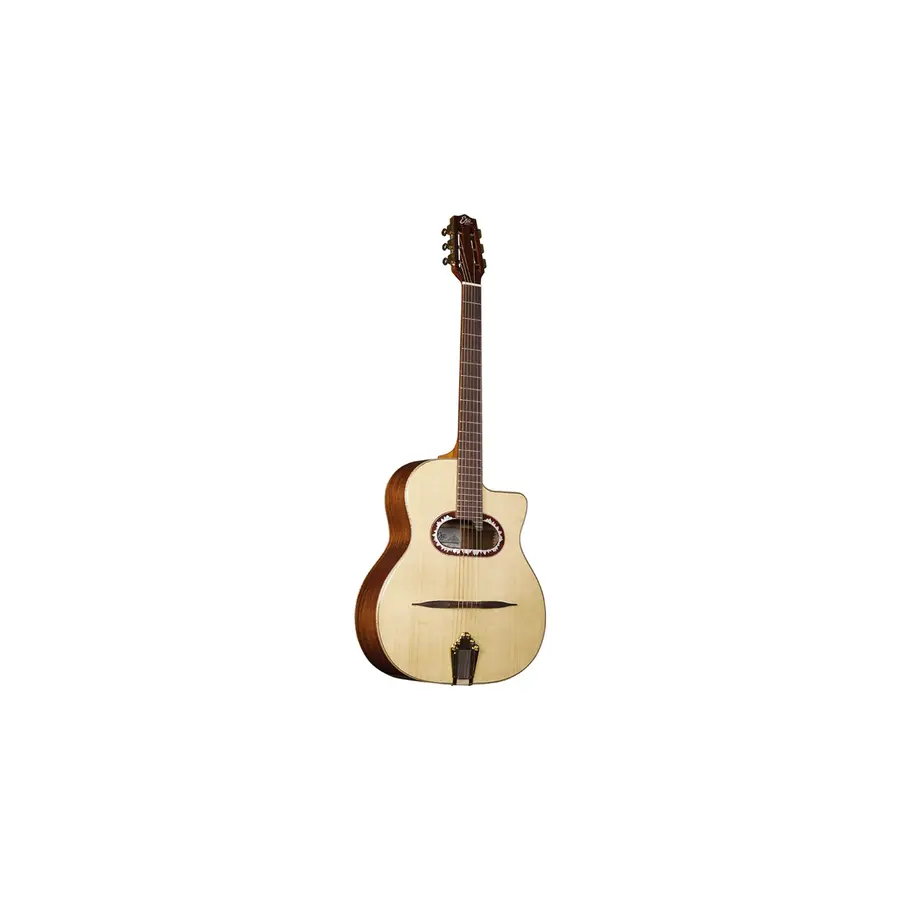 f_16-eko-guitars-alps-g450c-gipsy-06217162_0