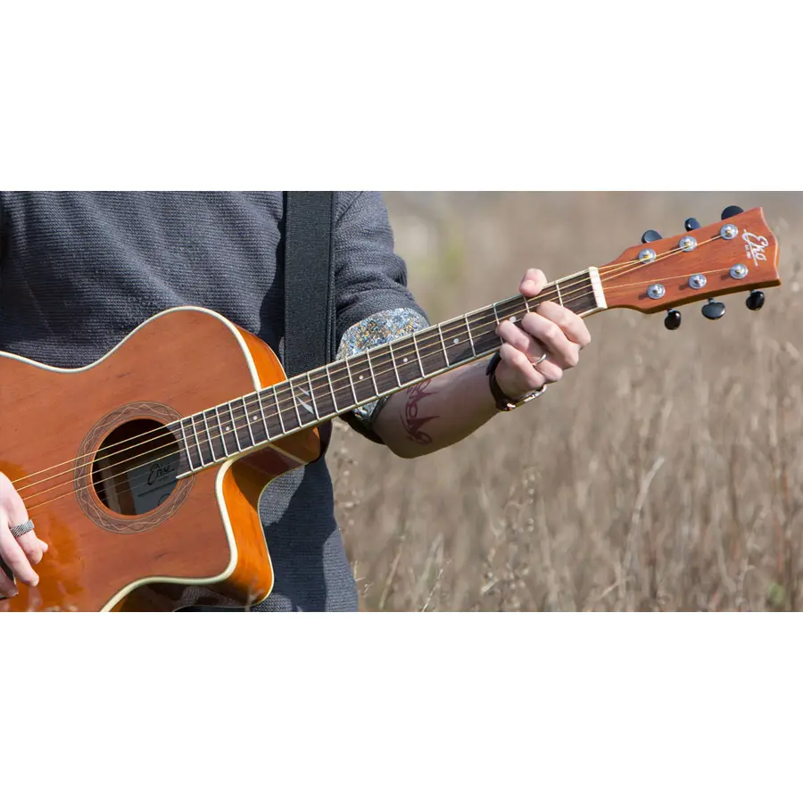 f_16-eko-guitars-duo-a200e-06217192_0