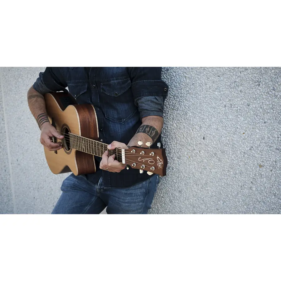 f_16-eko-guitars-evo-a350ce-06217260_0