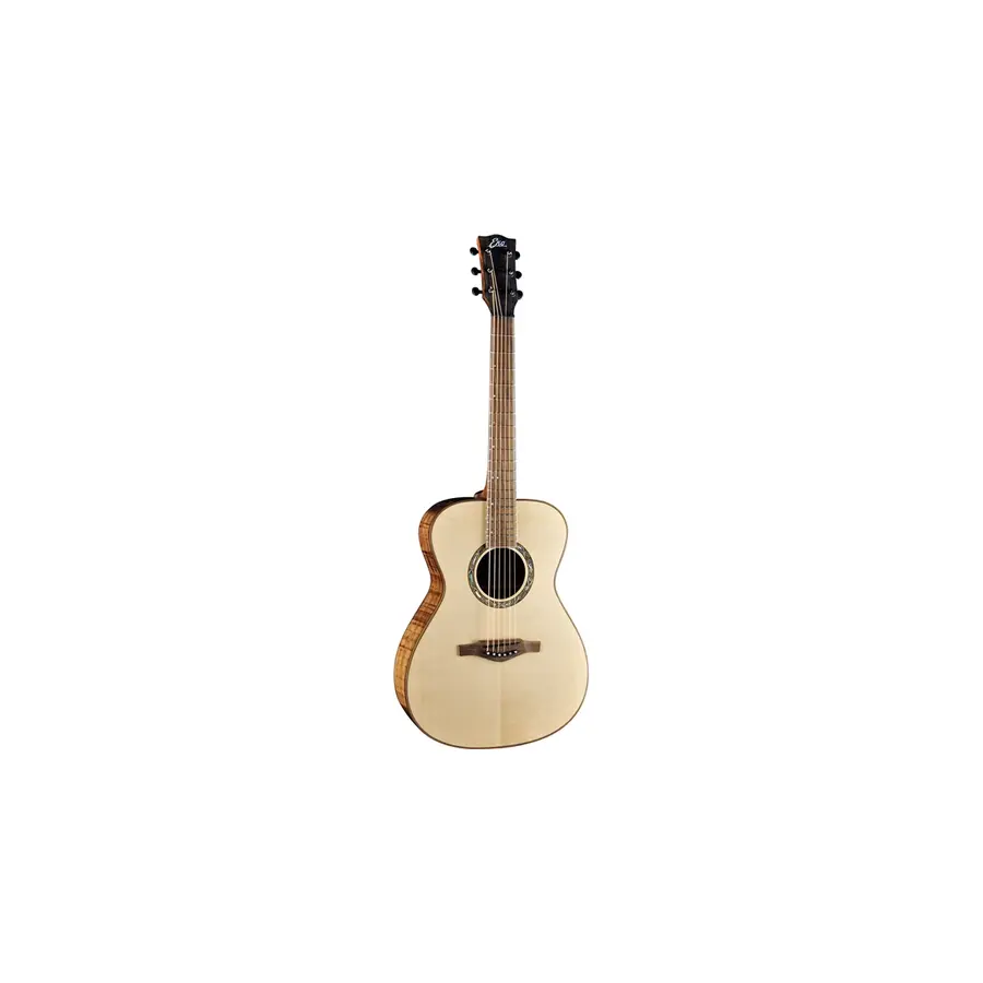 f_16-eko-guitars-infinito-018-made-in-italy-06216950_0