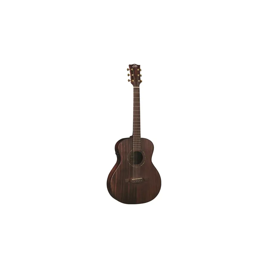 f_16-eko-guitars-marco-polo-t500e-mm-06217240_0