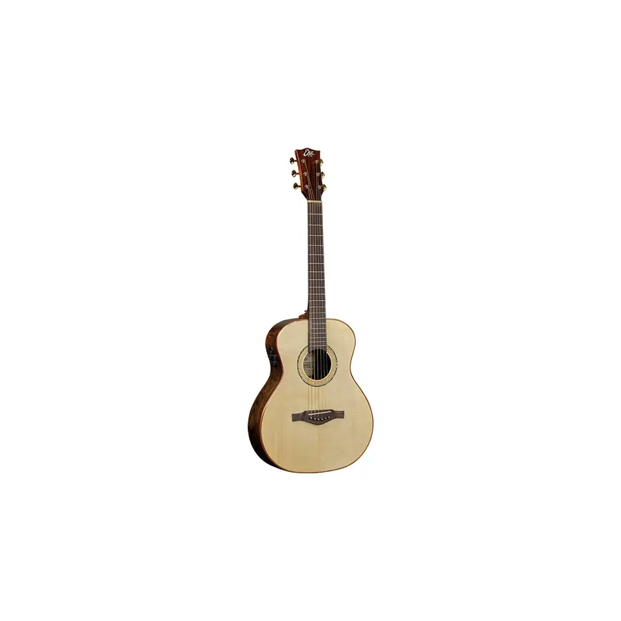 f_16-eko-guitars-marco-polo-t500e-sb-ltd-06217247_0