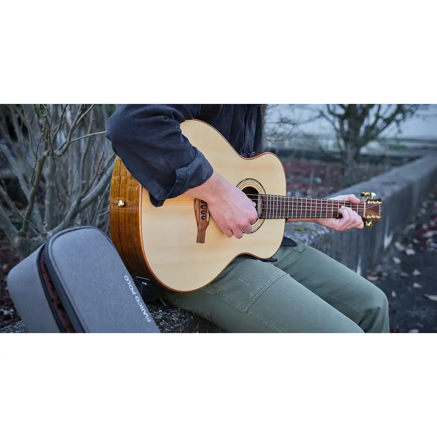 f_16-eko-guitars-marco-polo-t500e-so-06217241_0