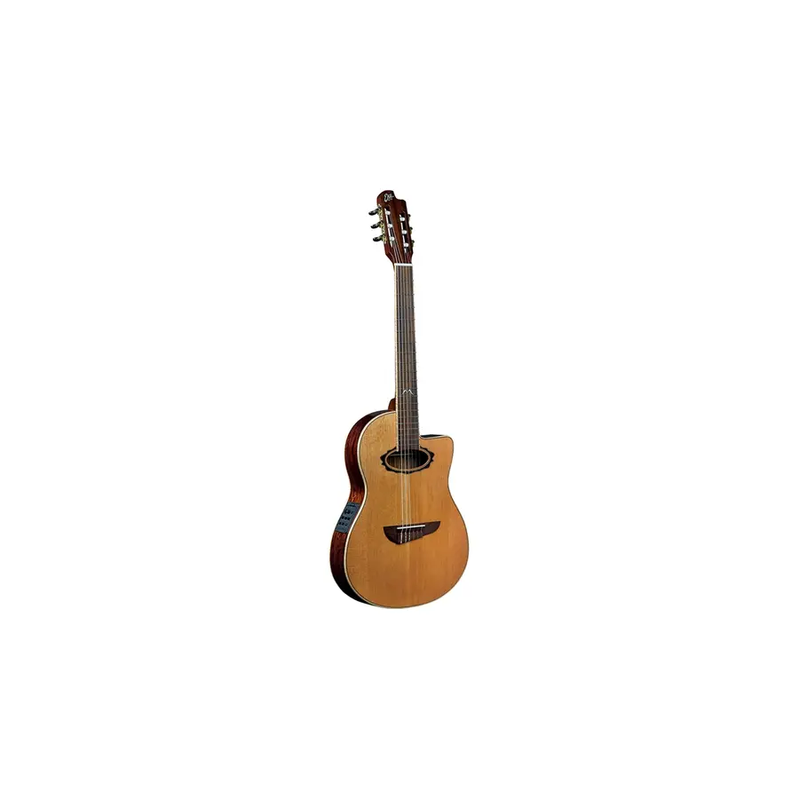 f_16-eko-guitars-mia-n400ce-06217264_0