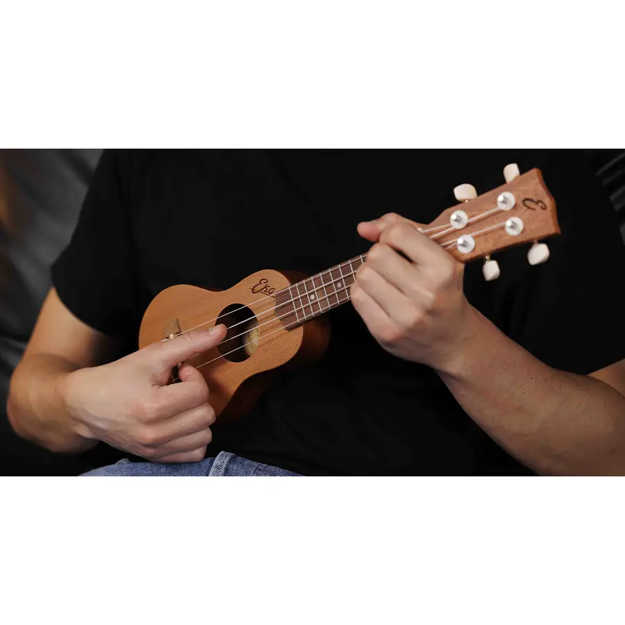 f_16-eko-guitars-uku-evo-microlele-06201023_0
