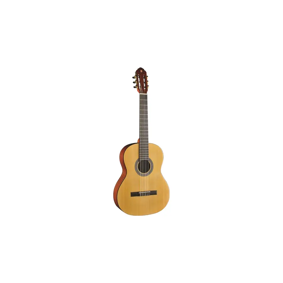 f_16-eko-guitars-vibra-100-natural-06204131_0