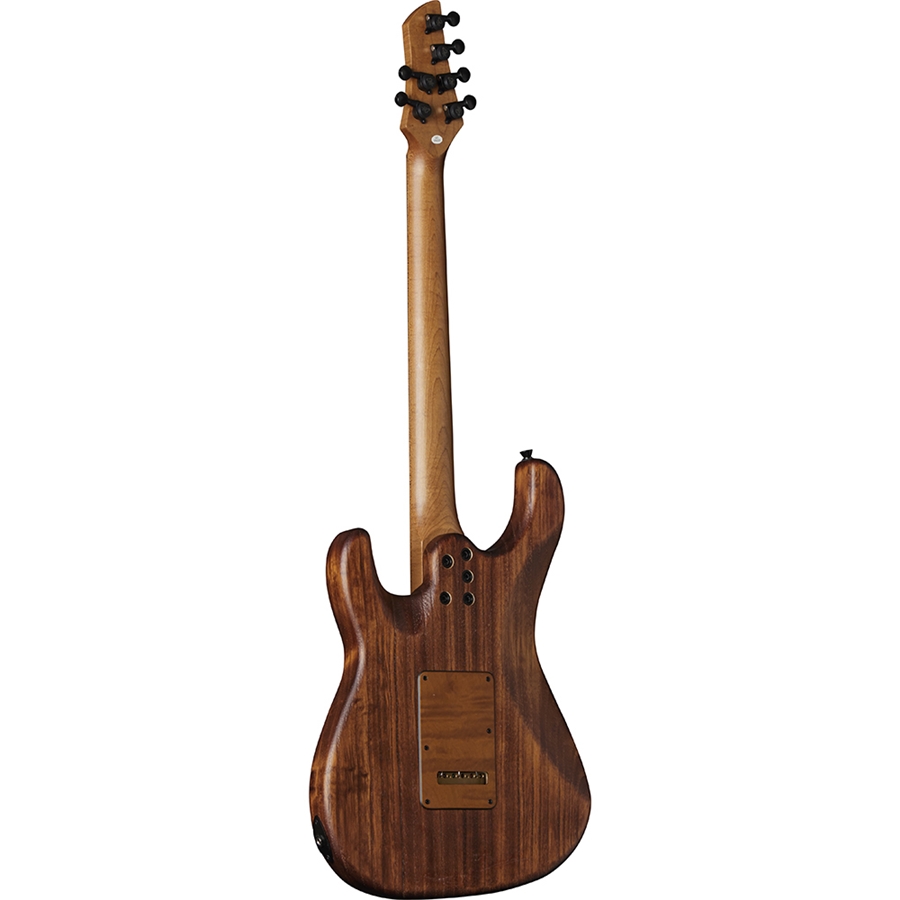 16-eko-guitars-aire-701-wildwood-05134065_1