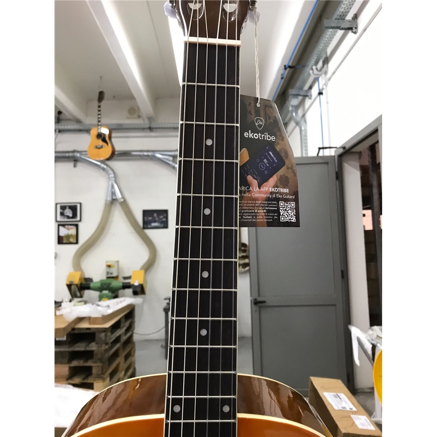 16-eko-guitars-cs-10-plus-06201027_2