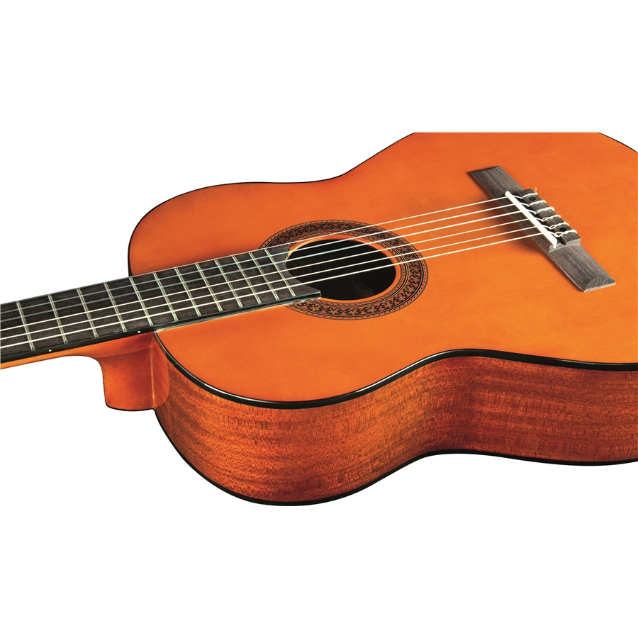 16-eko-guitars-cs-12-06204120_2