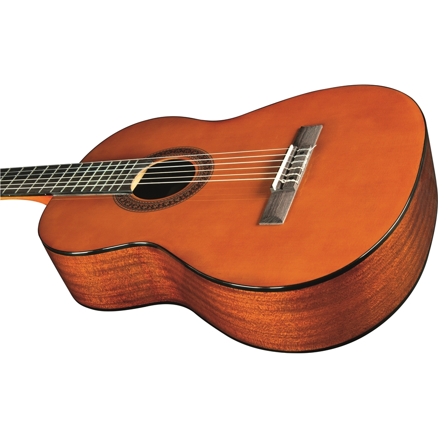 16-eko-guitars-cs-12-06204120_3