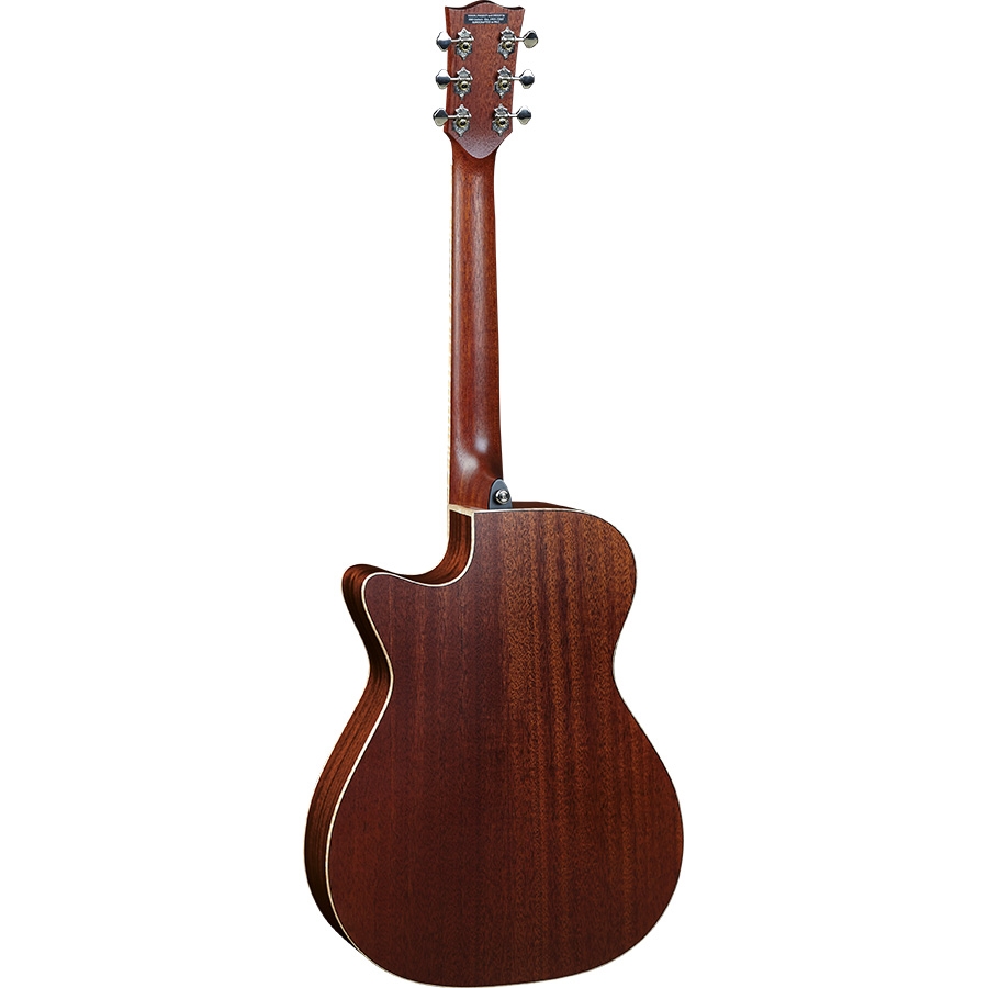 16-eko-guitars-evo-a350ce-06217260_1