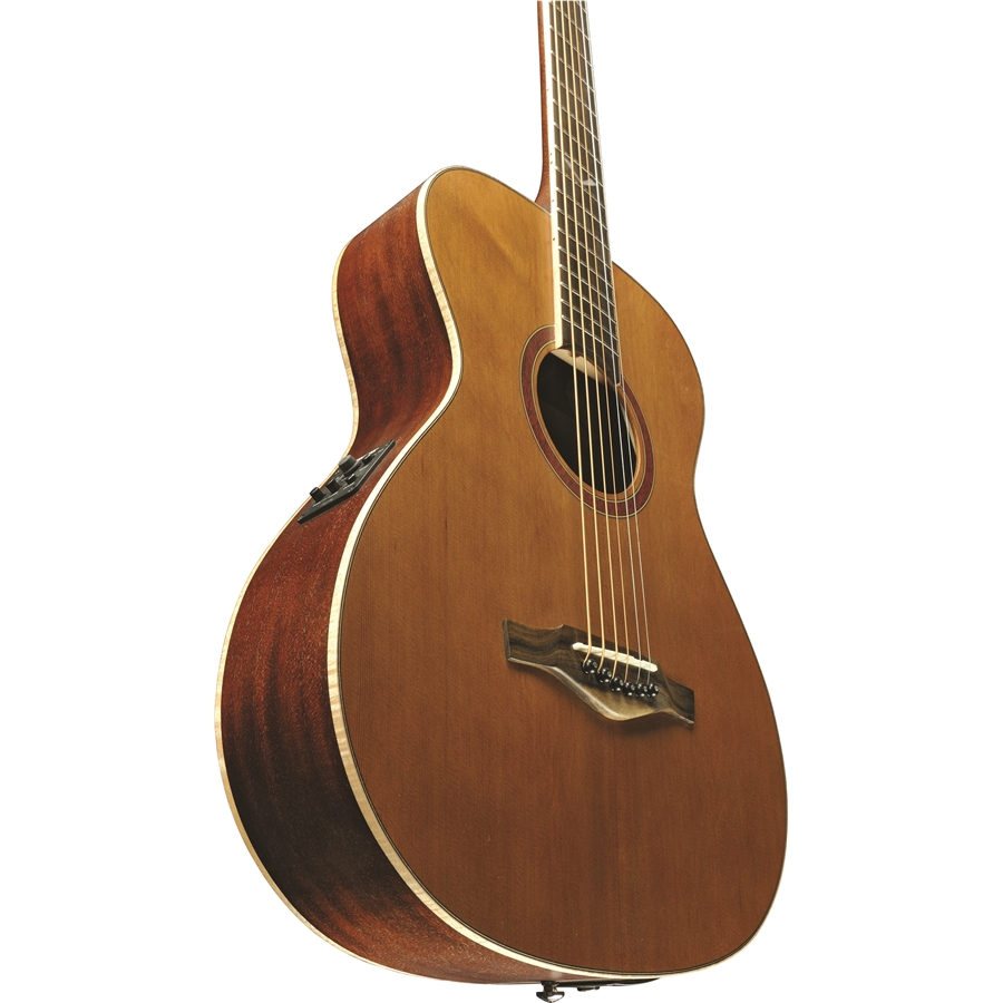 16-eko-guitars-evo-ii-baritone-eq-natural-06217231_6