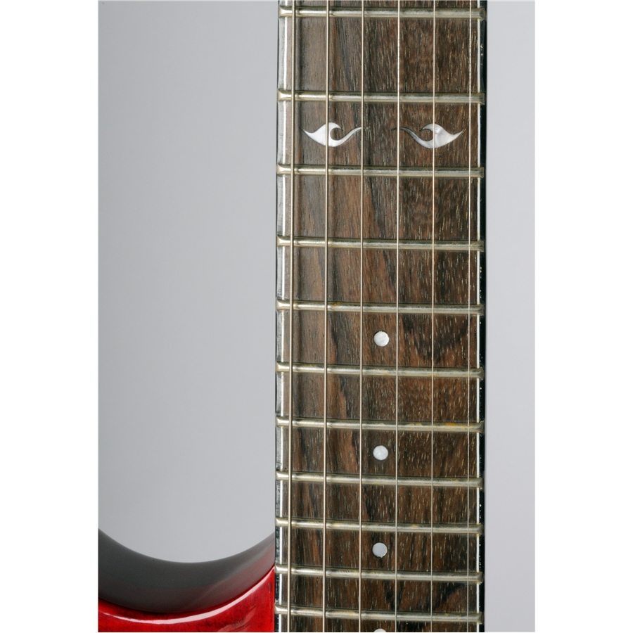 16-eko-guitars-fire-standard-05130191_9