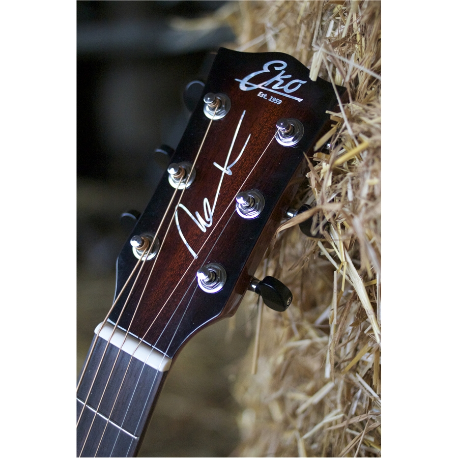16-eko-guitars-nek-signature-06217088_1