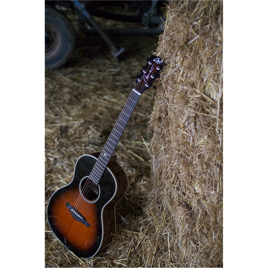 16-eko-guitars-nek-signature-06217088_2
