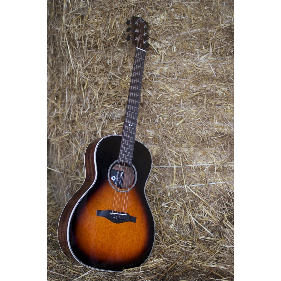 16-eko-guitars-nek-signature-eq-sonitone-06217144_0
