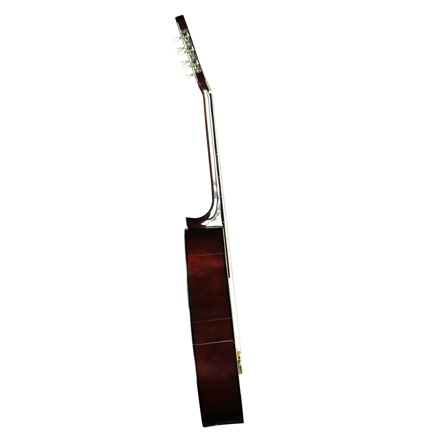 16-eko-guitars-sparkling-flame-natural-06204724_2
