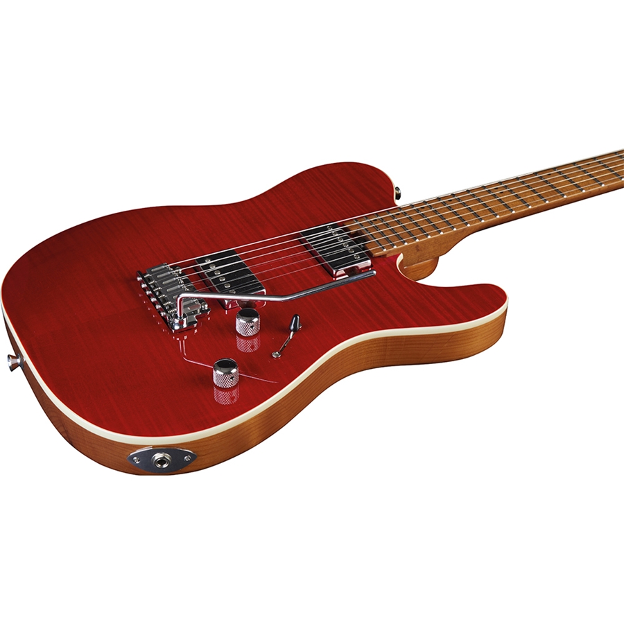 16-eko-guitars-tero-801-musa-red-flamed-05134070_3