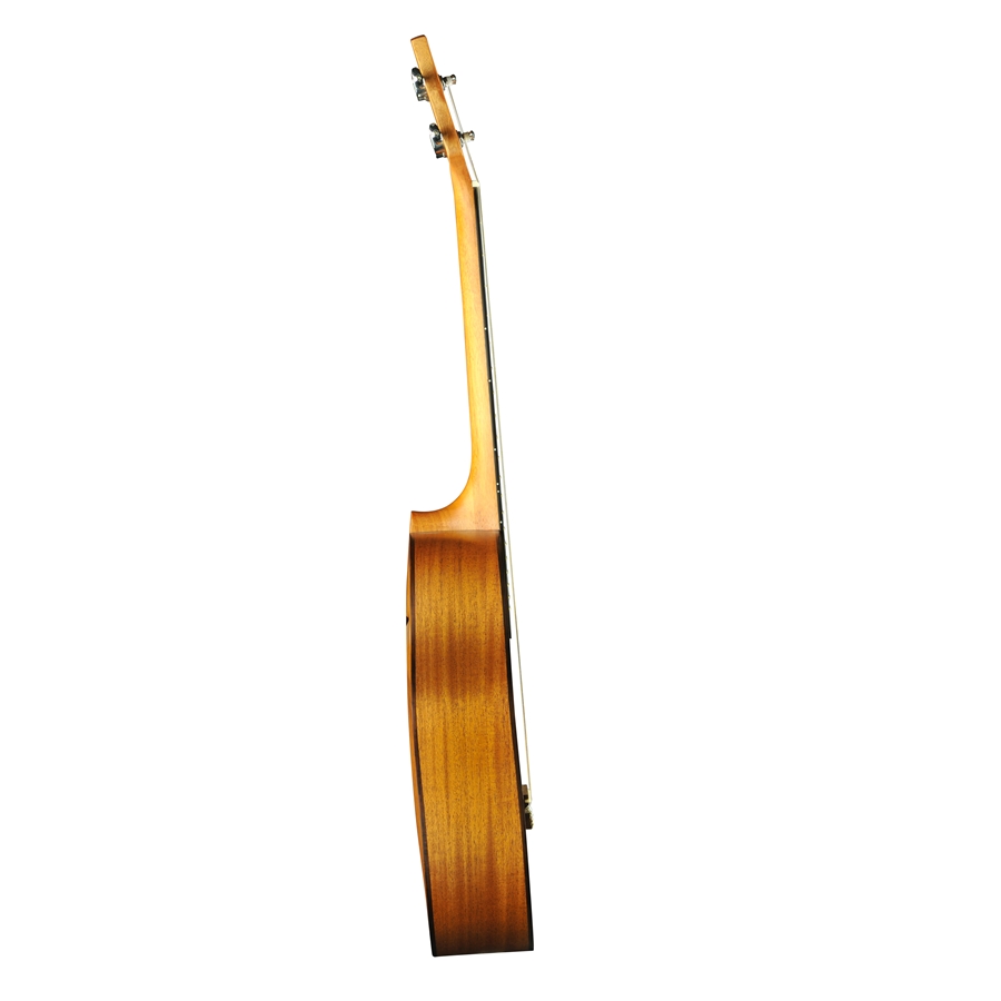 16-eko-guitars-uku-evo-ukulele-baritono-06204623_2