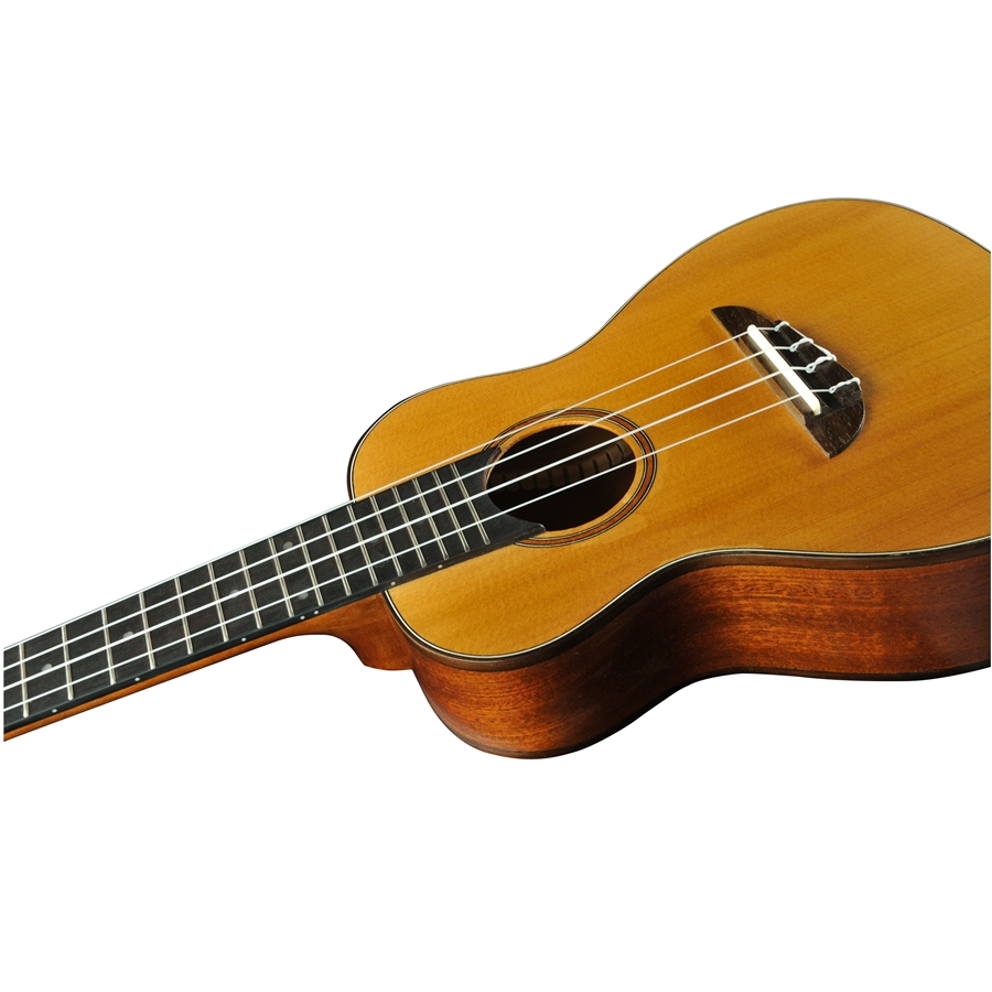 16-eko-guitars-uku-evo-ukulele-concerto-06204621_6