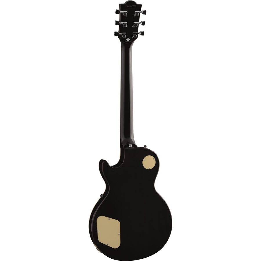 16-eko-guitars-vl-480-honey-burst-flamed-05130410_1