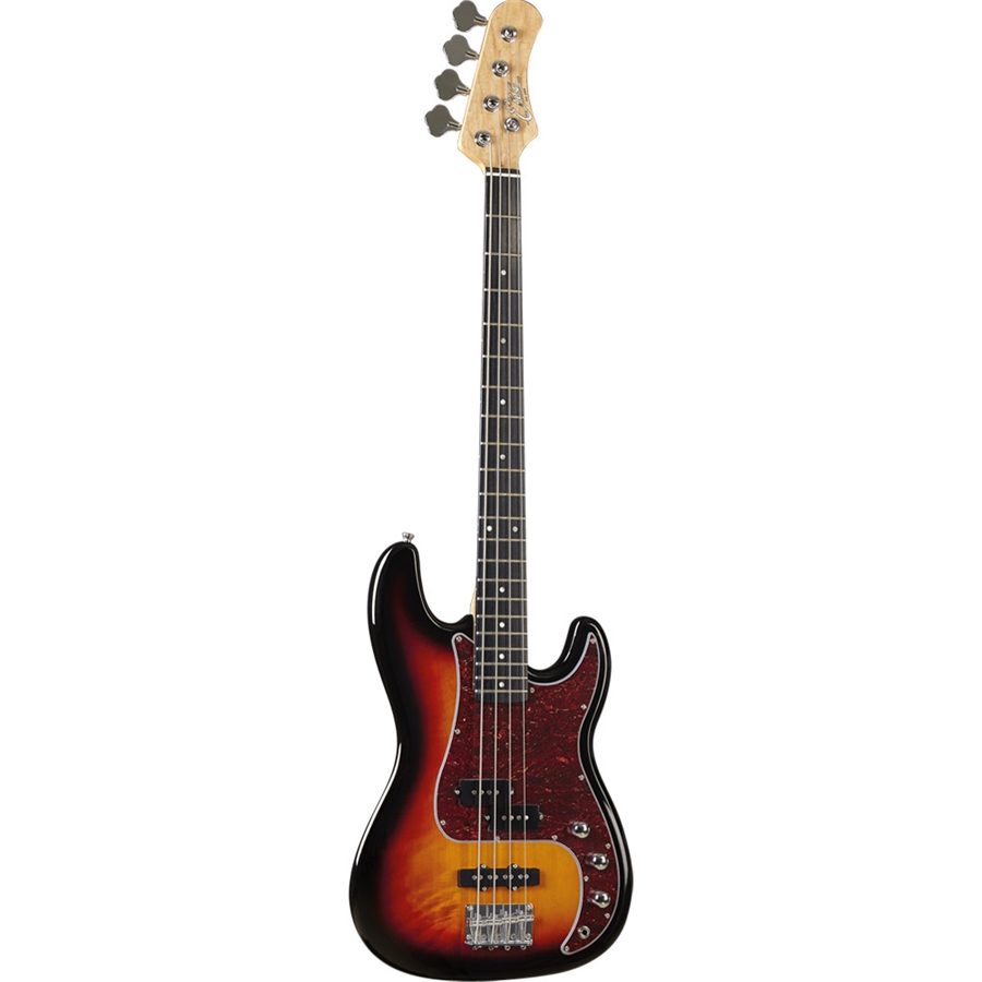 16-eko-guitars-vpj-280-sunburst-05130810_0