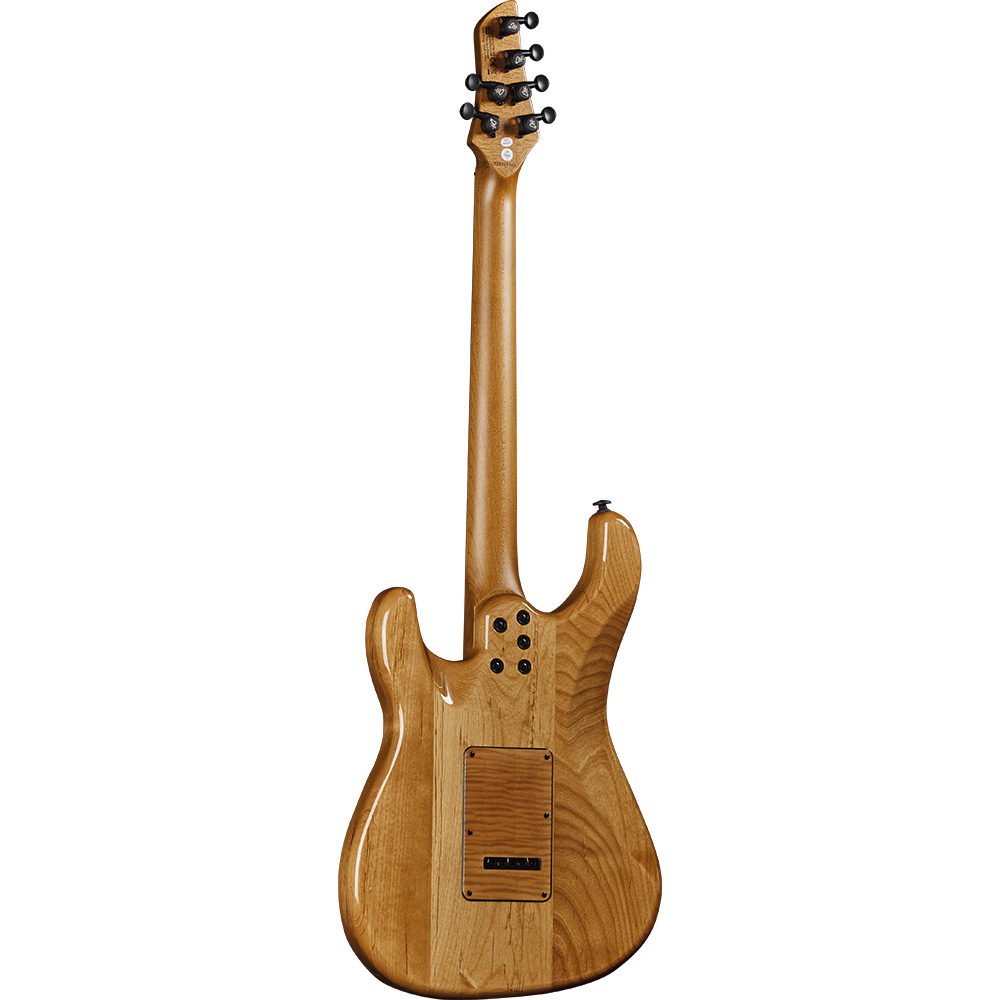 eko-guitars-aire-601-lignum-05134062-1