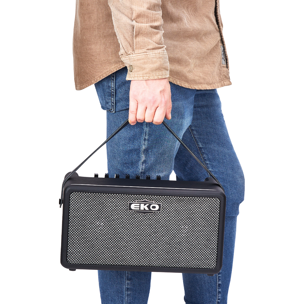 eko-guitars-eko-baio-amp-25-da-modificare-08150946-4