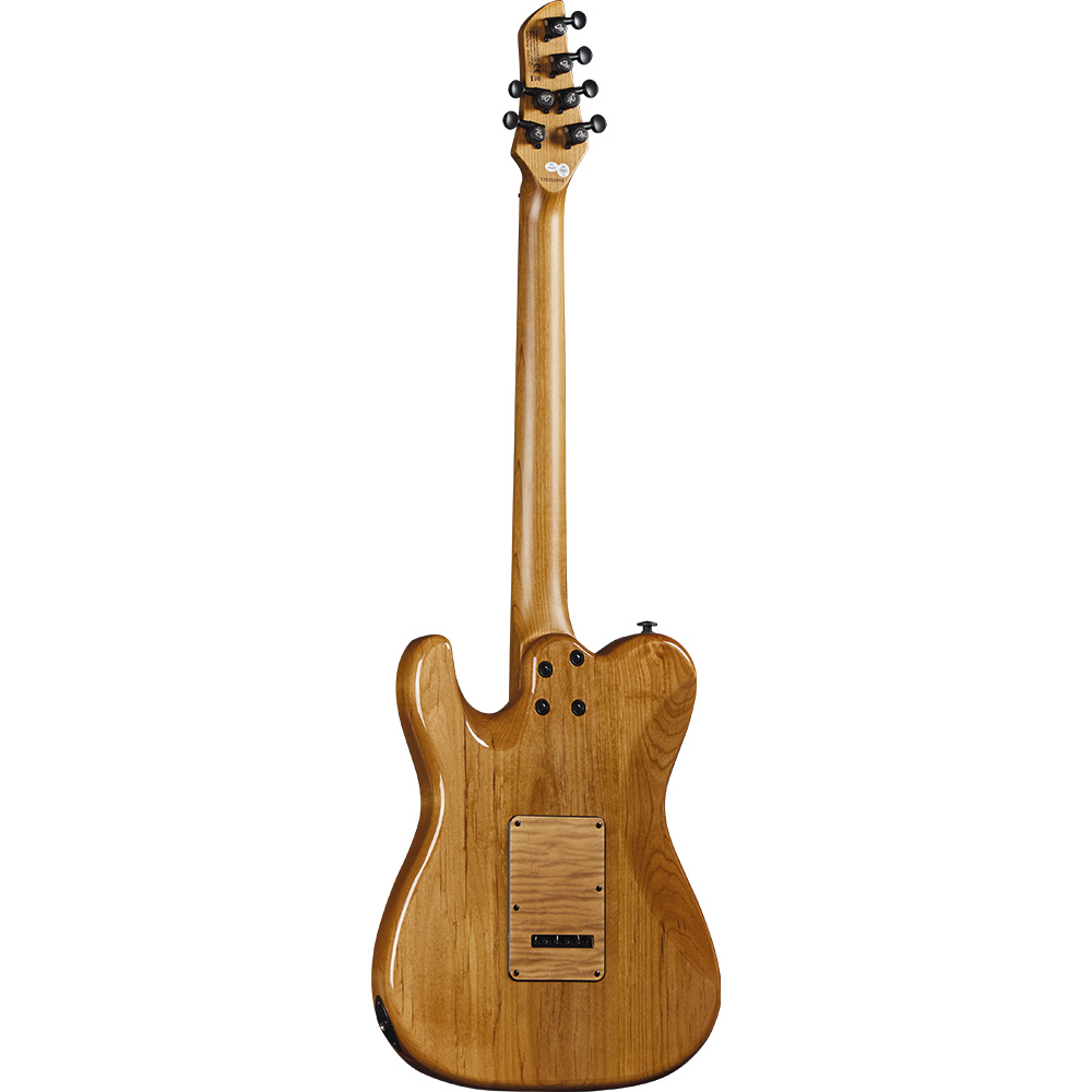 eko-guitars-tero-601-lignum-05134063-1