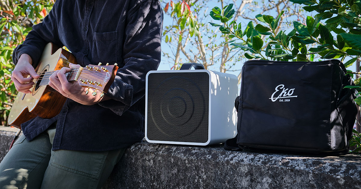 f_16-eko-guitars-eamp-eclectic-amp-08150914_0