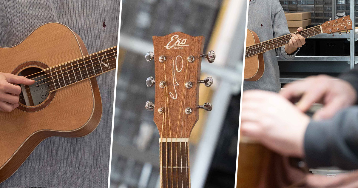 f_16-eko-guitars-evo-a350e-baritone-06217262_0