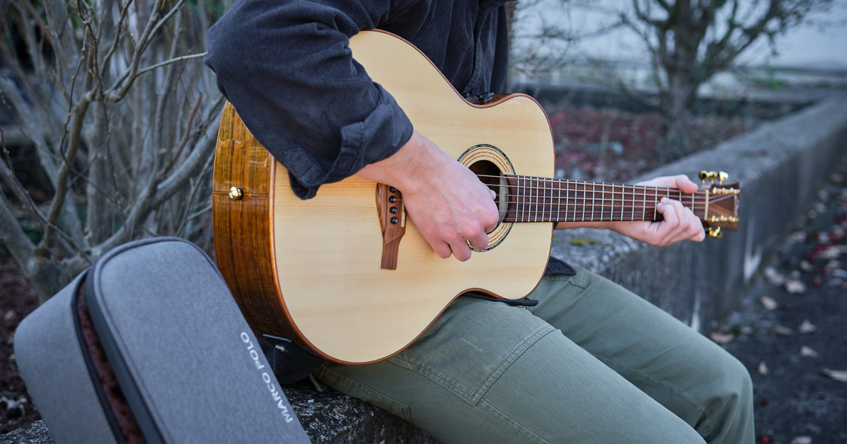 f_16-eko-guitars-marco-polo-t500e-so-06217241_0